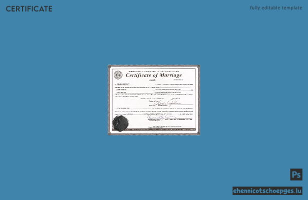 USA, Washington District of Columbia, Heiratsurkunde im PSD-Format (Beispielvorschau)